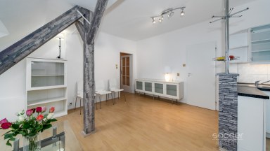 Velmi hezký byt s krásným výhledem a terasou v rodinné vile.