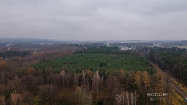 Prodej pozemku o výměře 644 m2, Řípec, okres Tábor.