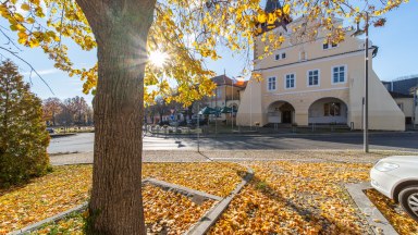 Příjemný byt se zahrádkou v Dobrovici u Mladé Boleslavi.