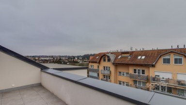 Pronájem bytu 2+kk s velkou lodžií a garážovým stáním - Projekt ZLATÝ KOPEC, Praha – Přezletice.