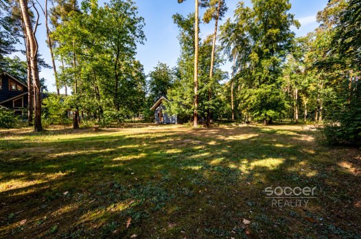 67272_4831513164.jpg